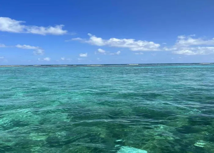 Residences At Barrier Reef Casita 4 By Floreo * San Pedro (Ambergris Caye)