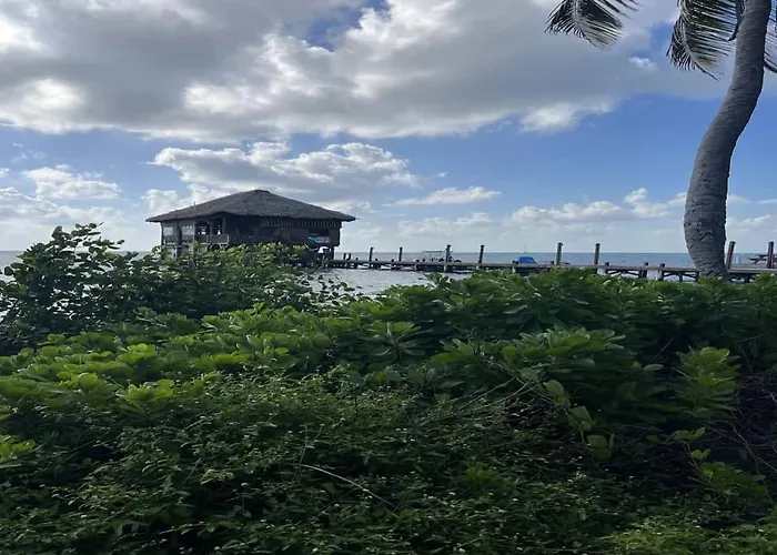 Residences At Barrier Reef Casita 4 By Floreo * San Pedro (Ambergris Caye)